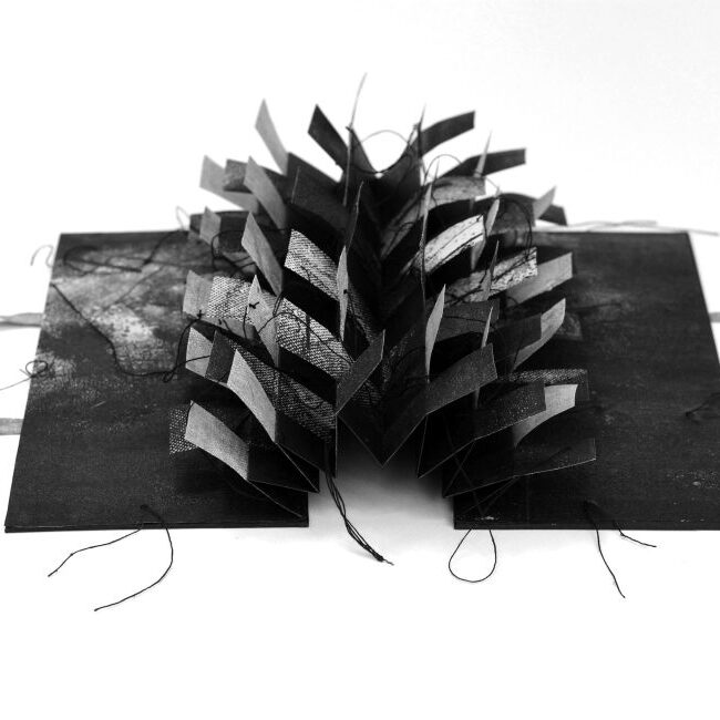 Teen Zine Workshop with Ioannis Anastasiou and Majka Dokudowicz - logo
